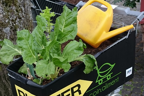 Des légumes dans la ville