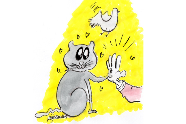 Des animaux invités au culte