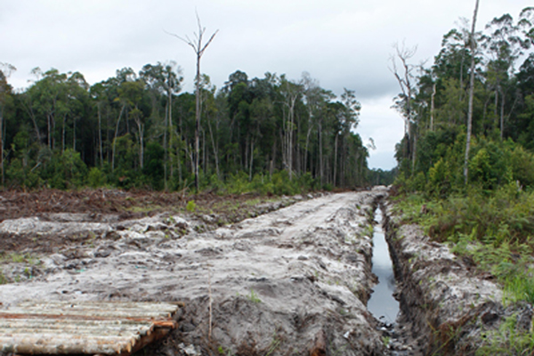 La vie, pas le profit