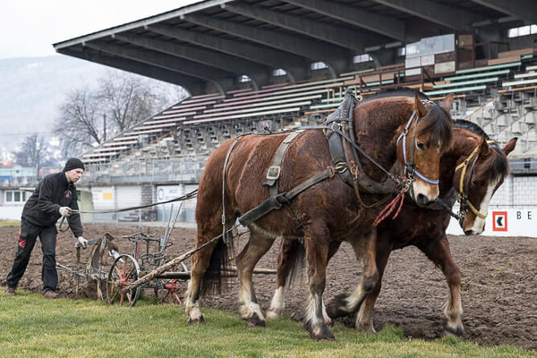 La nouvelle vie de la Gurzelen