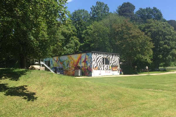 Quand l&rsquo;enfant devient Robinson