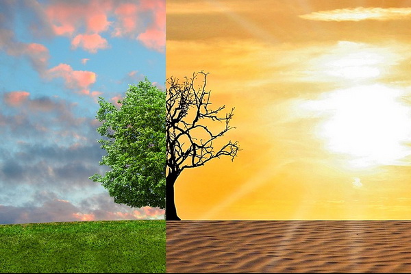 Jeunes pour le climat