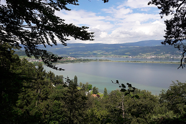 La méditation pas à pas