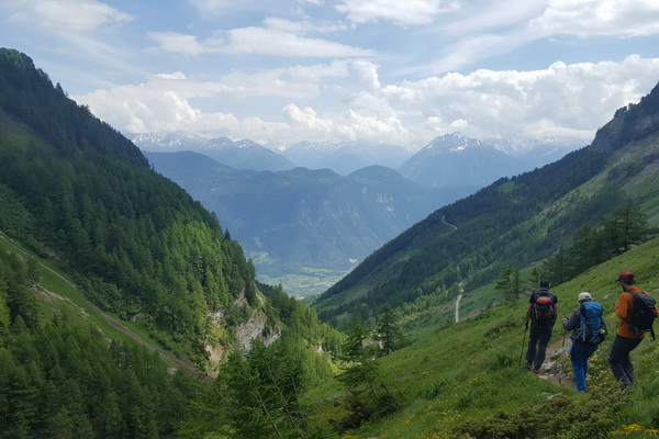Allez marcher, ça marche!