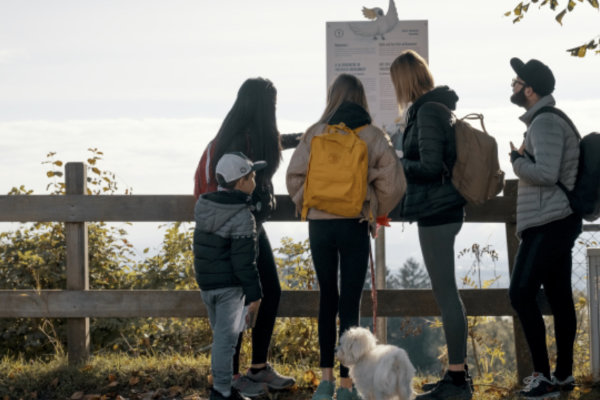 Dans les pas de Dürrenmatt